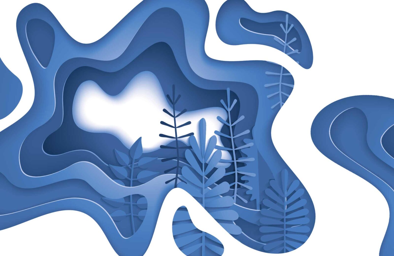 CMS Final Rule for Allowable Medicare Rewards and Incentives Icario